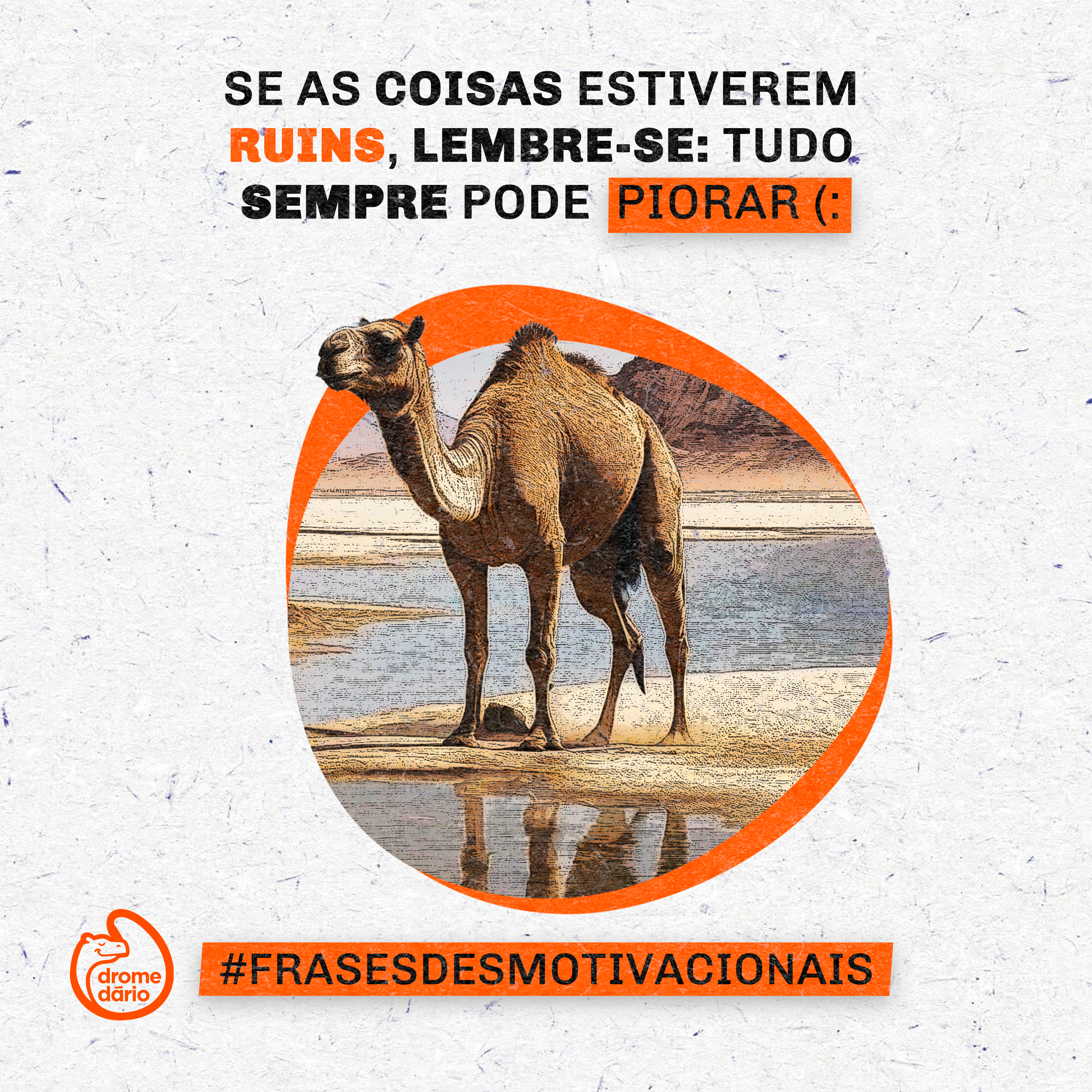 Peça do projeto Agência Dromedário 1